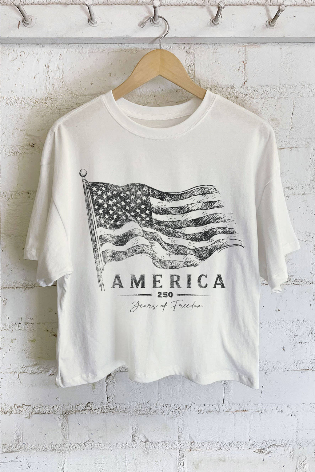 AMERICA 250 YEARS OF FREEDOM FLAG GRAPHIC LONG CROP TOP