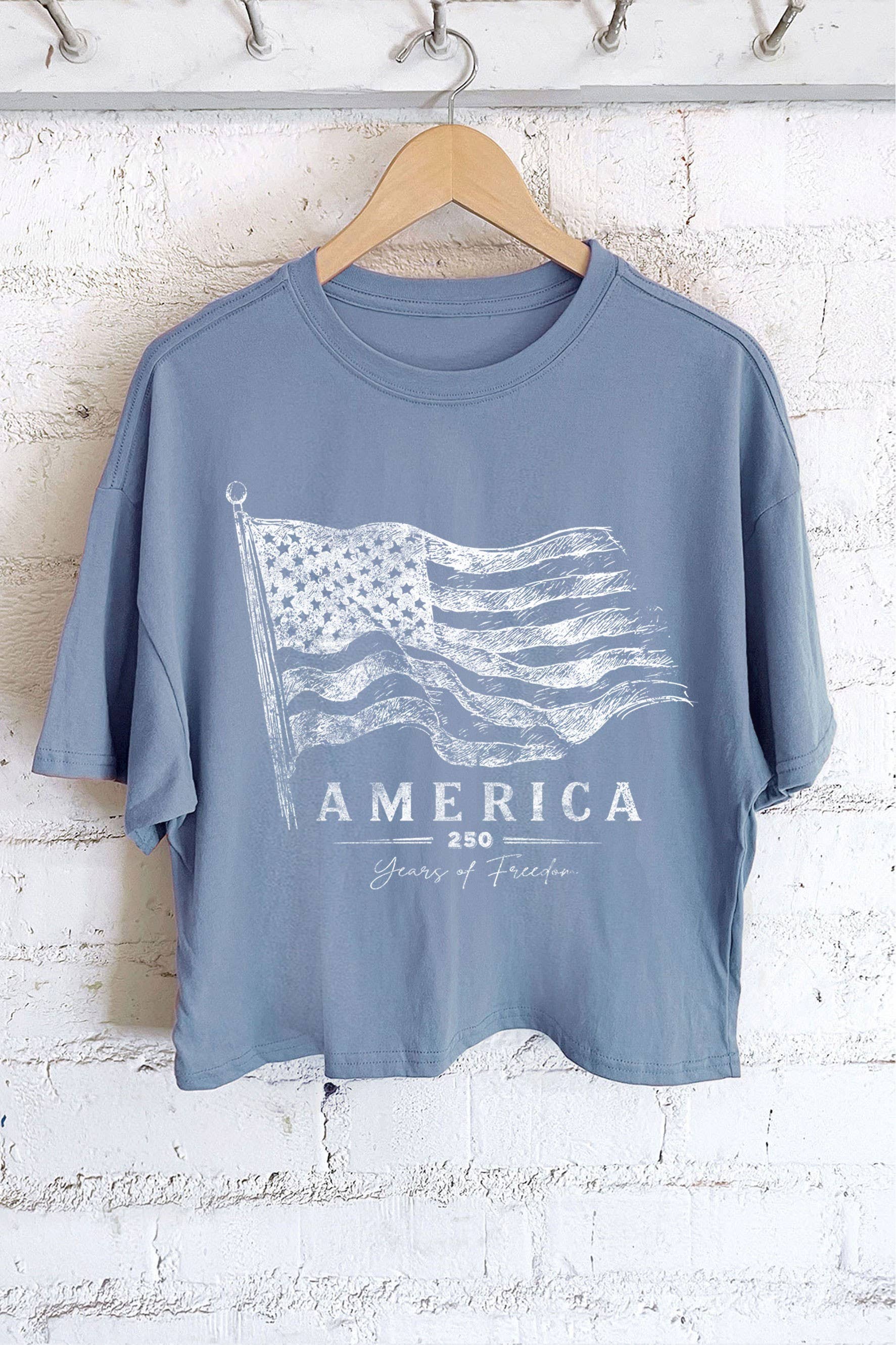 AMERICA 250 YEARS OF FREEDOM FLAG GRAPHIC LONG CROP TOP